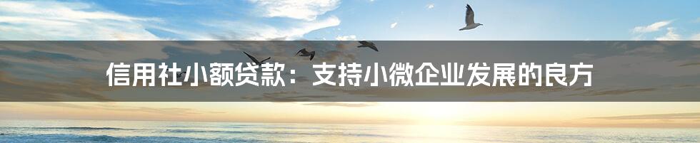 信用社小额贷款：支持小微企业发展的良方