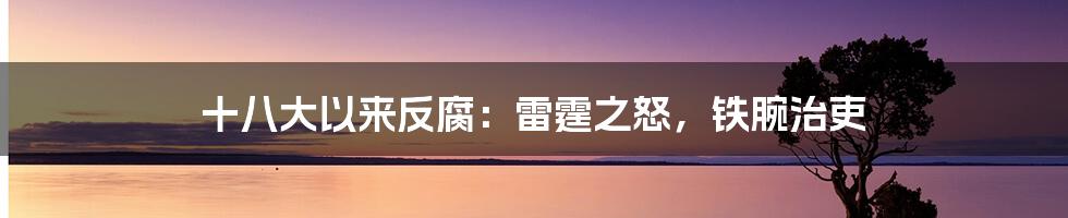 十八大以来反腐:雷霆之怒,铁腕治吏