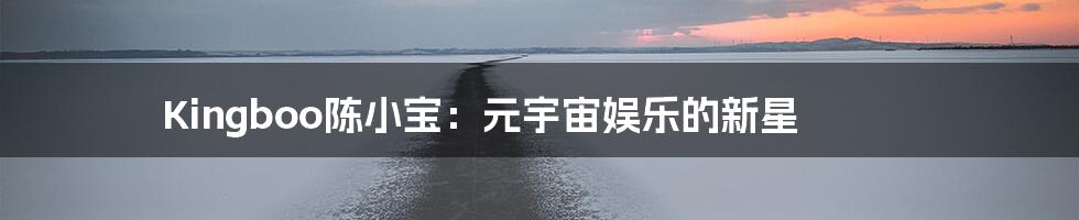 Kingboo陈小宝:元宇宙娱乐的新星