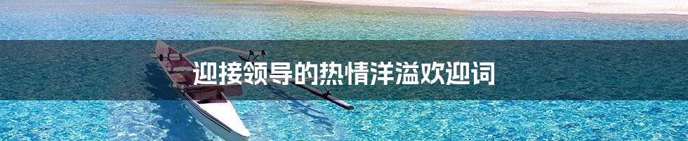 迎接领导的热情洋溢欢迎词