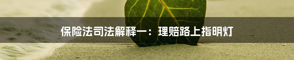 保险法司法解释一：理赔路上指明灯