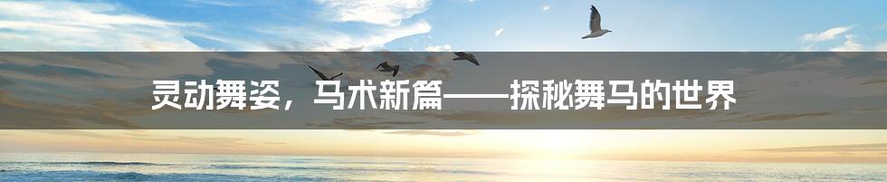 灵动舞姿,马术新篇——探秘舞马的世界