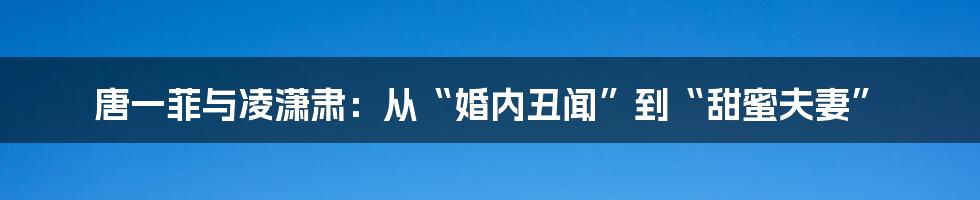 唐一菲与凌潇肃:从“婚内丑闻”到“甜蜜夫妻”