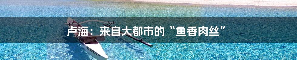 卢海：来自大都市的“鱼香肉丝”
