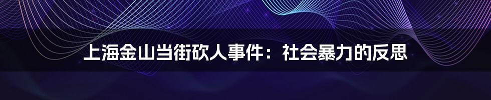 上海金山当街砍人事件：社会暴力的反思