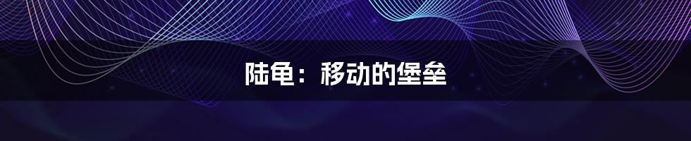 陆龟：移动的堡垒