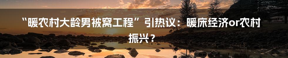 “暖农村大龄男被窝工程”引热议：暖床经济or农村振兴？