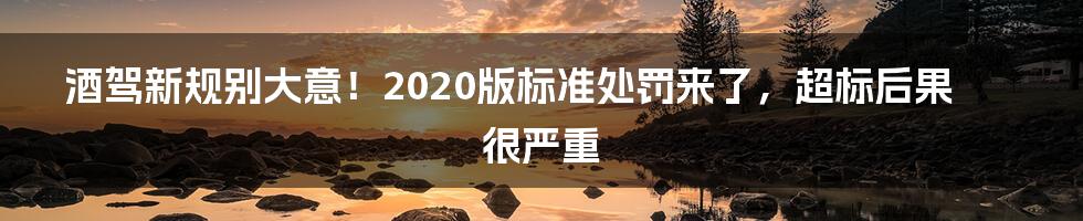 酒驾新规别大意!2020版标准处罚来了,超标后果很严重