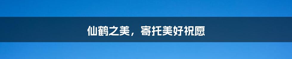 仙鹤之美，寄托美好祝愿