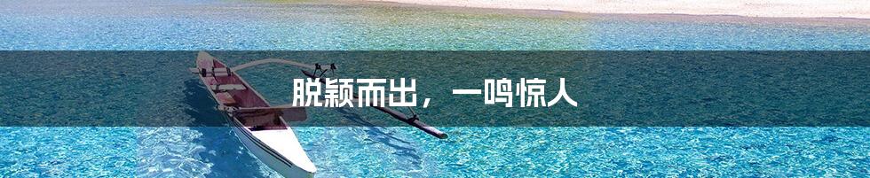 脱颖而出,一鸣惊人