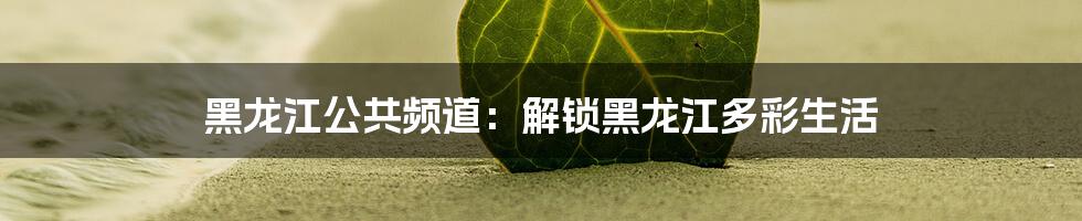 黑龙江公共频道：解锁黑龙江多彩生活