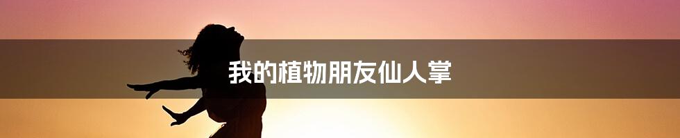 我的植物朋友仙人掌