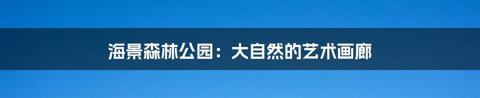 海景森林公园:大自然的艺术画廊