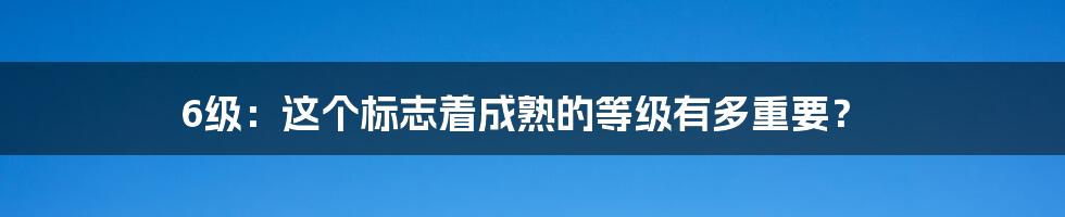 6级:这个标志着成熟的等级有多重要?