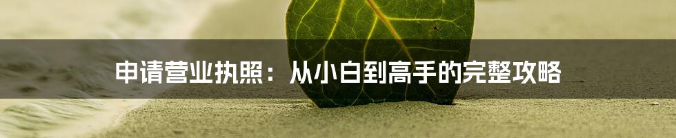 申请营业执照：从小白到高手的完整攻略