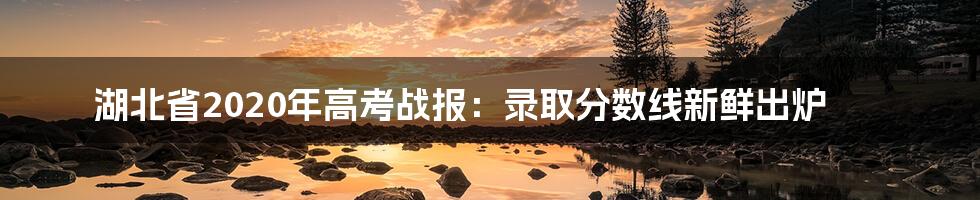湖北省2020年高考战报:录取分数线新鲜出炉