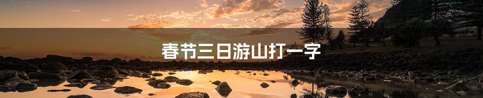 春节三日游山打一字