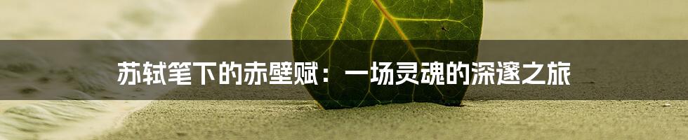 苏轼笔下的赤壁赋：一场灵魂的深邃之旅