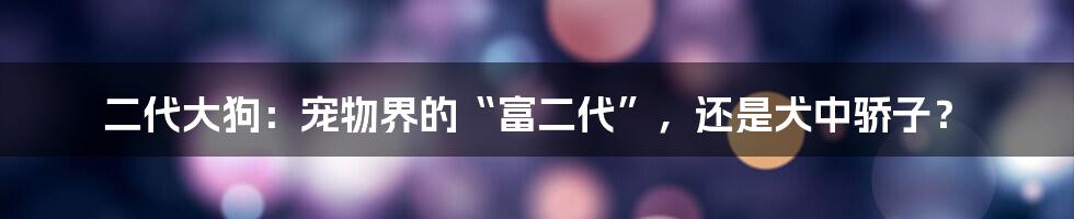 二代大狗:宠物界的“富二代”,还是犬中骄子?