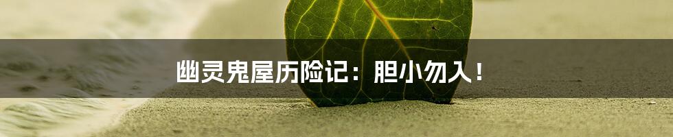 幽灵鬼屋历险记:胆小勿入!