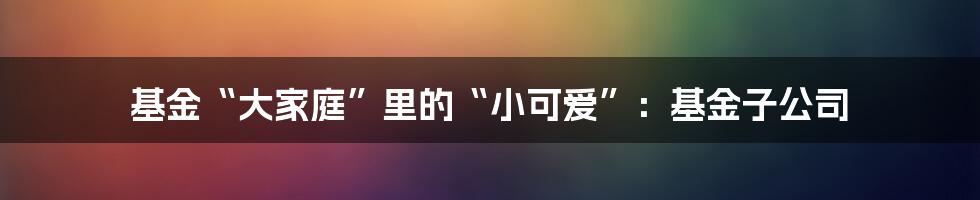 基金“大家庭”里的“小可爱”:基金子公司