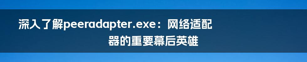 深入了解peeradapter.exe：网络适配器的重要幕后英雄