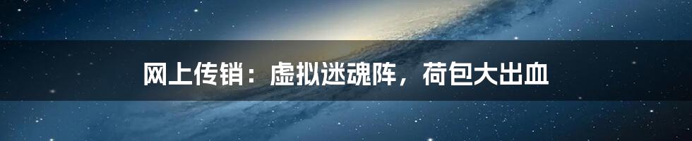 网上传销:虚拟迷魂阵,荷包大出血