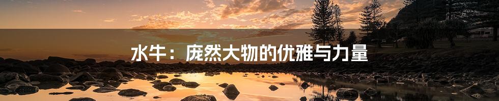 水牛:庞然大物的优雅与力量