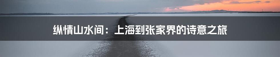 纵情山水间:上海到张家界的诗意之旅
