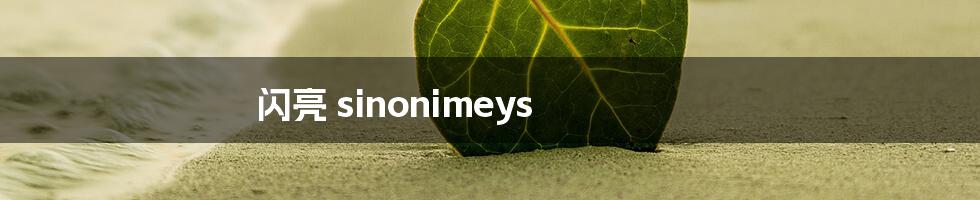 闪亮 sinonimeys