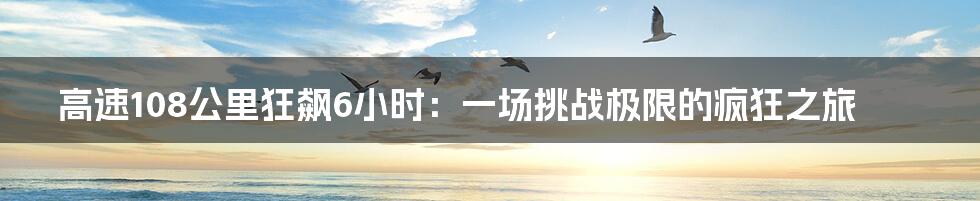 高速108公里狂飙6小时：一场挑战极限的疯狂之旅