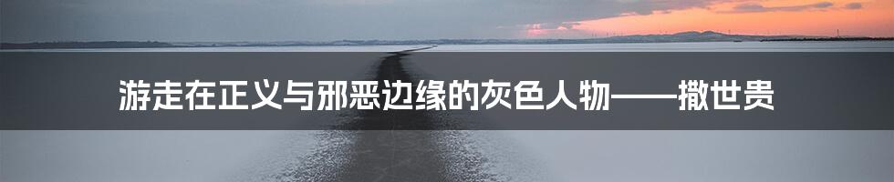 游走在正义与邪恶边缘的灰色人物——撒世贵