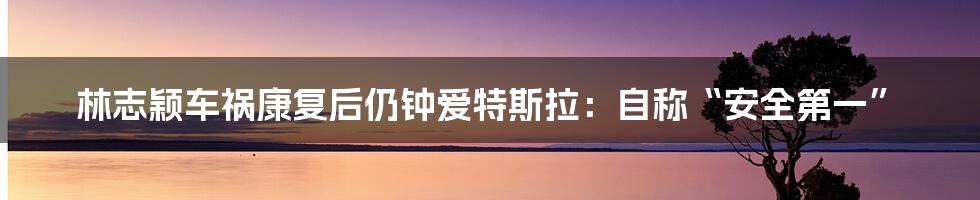 林志颖车祸康复后仍钟爱特斯拉:自称“安全第一”