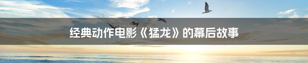 经典动作电影《猛龙》的幕后故事