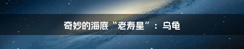 奇妙的海底“老寿星”：乌龟