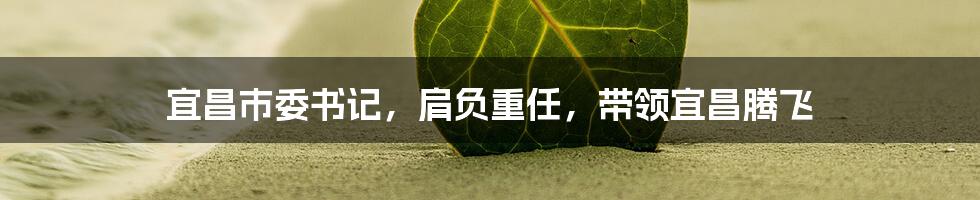 宜昌市委书记，肩负重任，带领宜昌腾飞