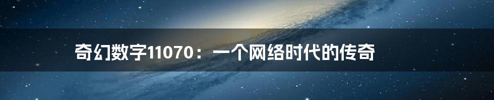 奇幻数字11070：一个网络时代的传奇