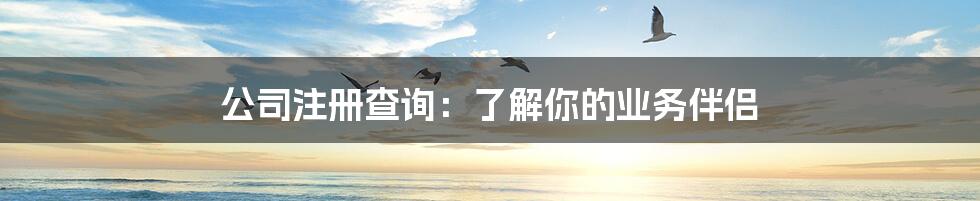 公司注册查询：了解你的业务伴侣