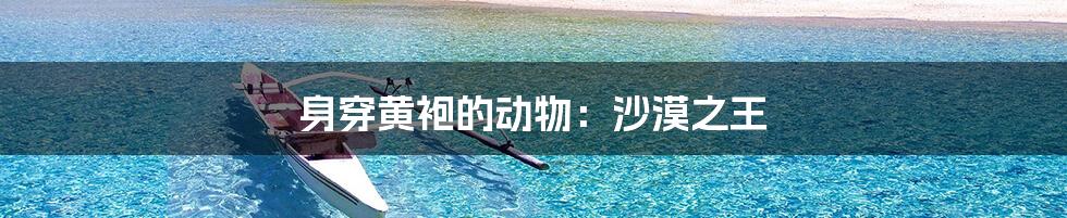身穿黄袍的动物：沙漠之王