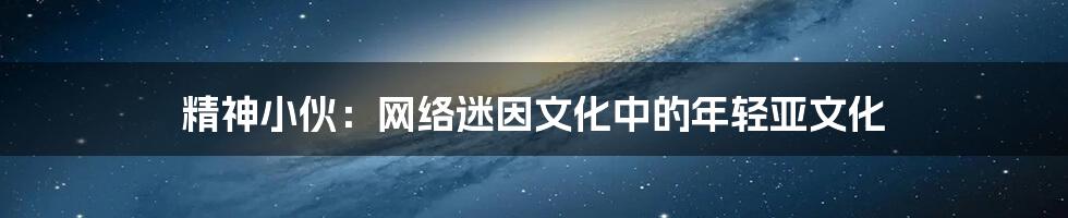 精神小伙:网络迷因文化中的年轻亚文化