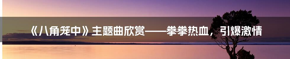《八角笼中》主题曲欣赏——拳拳热血,引爆激情