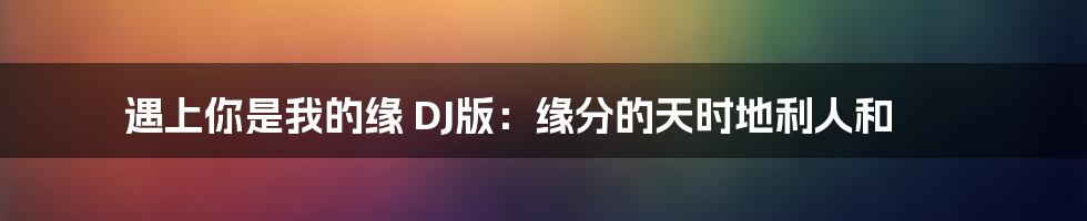 遇上你是我的缘 DJ版:缘分的天时地利人和