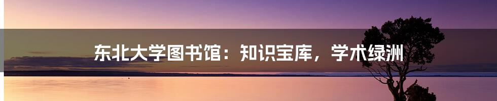 东北大学图书馆:知识宝库,学术绿洲