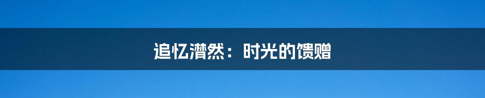 追忆潸然：时光的馈赠