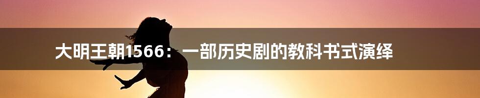 大明王朝1566：一部历史剧的教科书式演绎