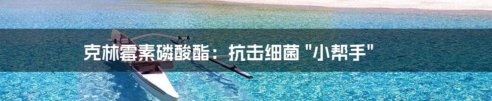 克林霉素磷酸酯:抗击细菌 "小帮手"