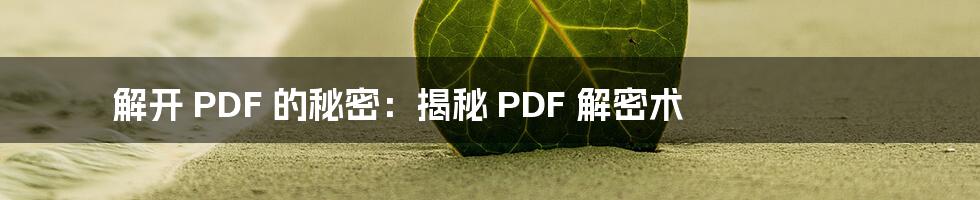 解开 PDF 的秘密：揭秘 PDF 解密术