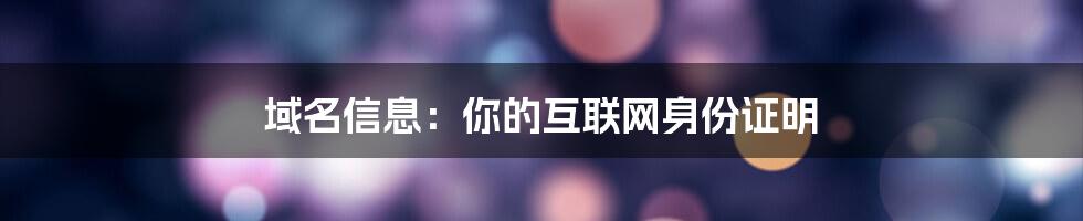 域名信息：你的互联网身份证明