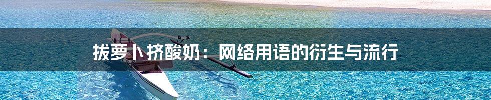 拔萝卜挤酸奶:网络用语的衍生与流行