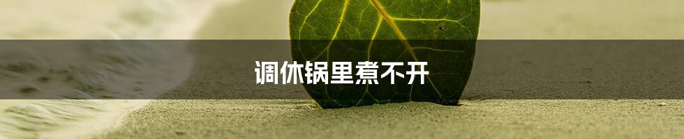 调休锅里煮不开